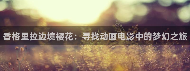 麻豆电影在线观看免费动漫电视剧