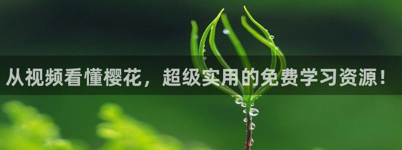 关于星空的图片大全