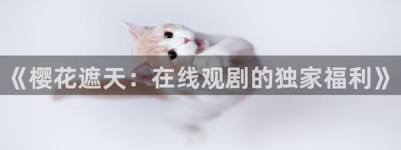 麻豆电影在线播放免费完整版