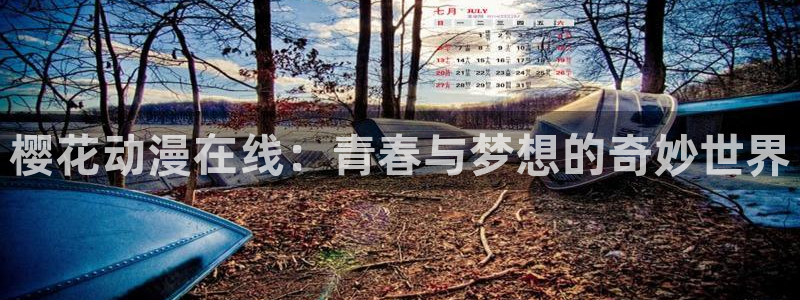 星空无限传媒免费观看电影