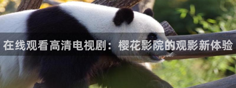 星空影视在线视频