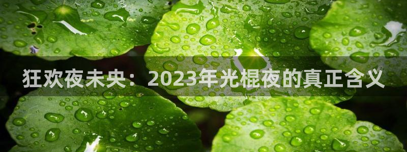 麻豆电影在线免费观看电影