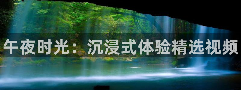 星空mv视频免费观看