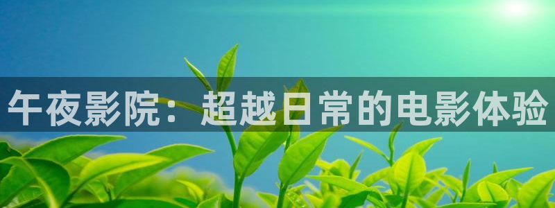 麻豆电影在线免费看电影