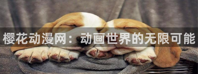 麻豆电影伦理片