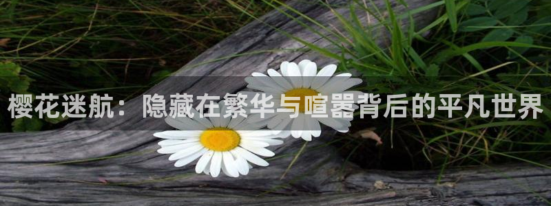影院星空