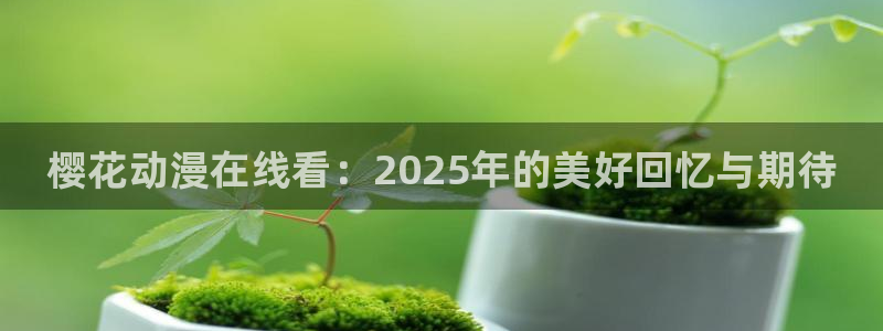星空影视大全高清版