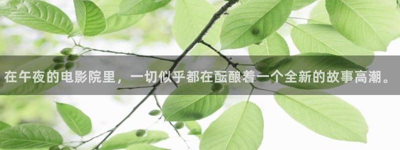 麻豆电影免费电影官网