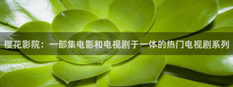 星空影视大全