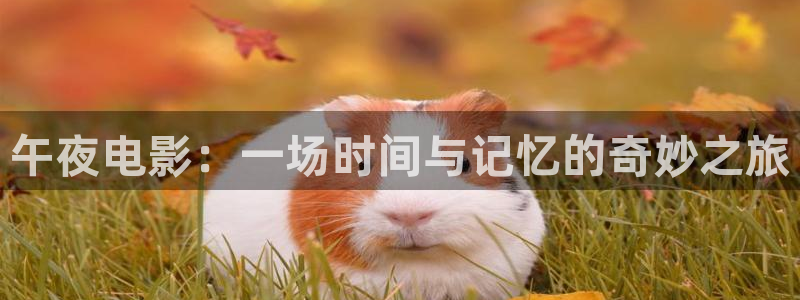 麻豆电影免费观看电影下载大全