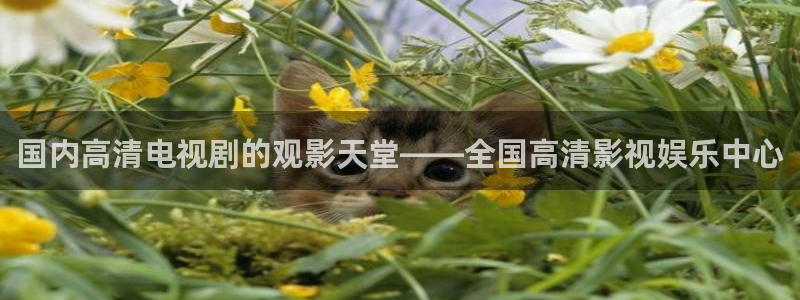 麻豆电影官网下载