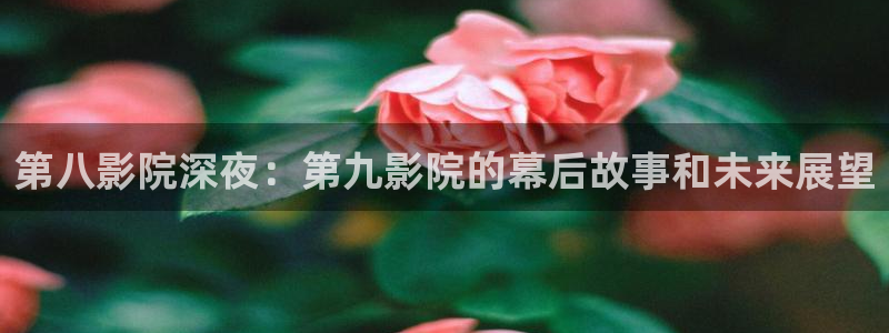 星空传媒影院免费电视剧