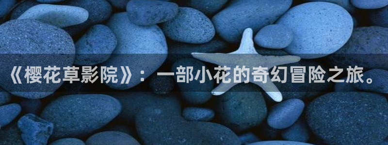 星空传媒影院免费电视剧