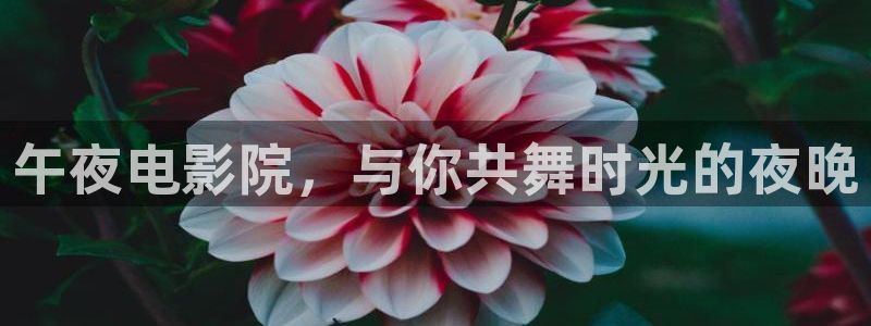 麻豆电影怎么免费看全集