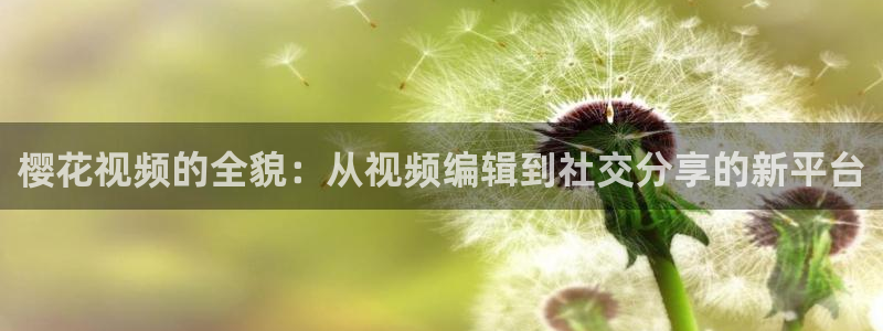 星空影视观看