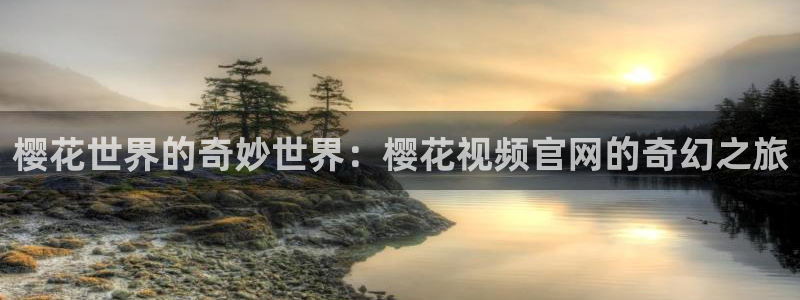 星空影视ios