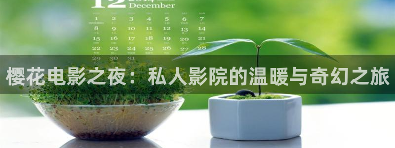 星空传媒免费观看电影